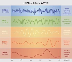 Usually sleepers undergo five sleep stages 1, 2, 3, 4 and REM (Rapid Eye Movements).